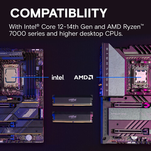 مجموعة ذاكرة الوصول العشوائي D - مراجعة Ddr5 32Gb وسعره